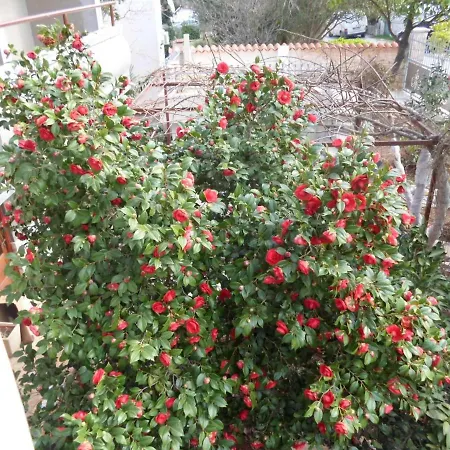 Beautiful-banjole-beachside-apartment-a2-150m-from-the-beach Apartament Banjole